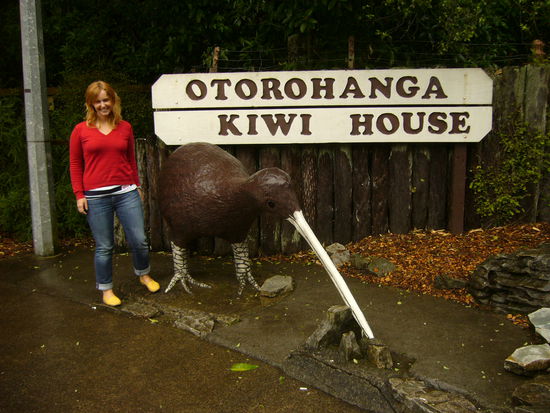 Unterwegs waren wir auch noch im Kiwi House. 2 konnte wir uns anschauen, die wir aber leider nicht fotografieren durften. Die sind etwas lichtempfindlich, aber waren erstaunlich gross und ziemlich fix.