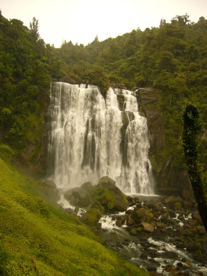 Hier noch die Marokopa Falls - da kam das Wasser aus allen Richtungen...
