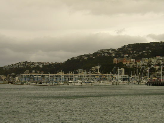 Mit dem Segeln haben sie's hier in NZ schon!