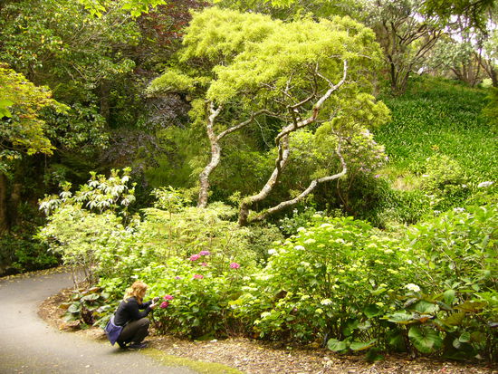 Botanischer Garten