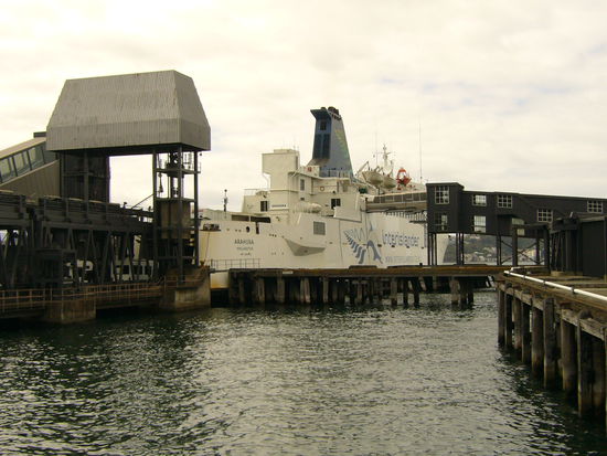 Nach einigem Herumirren bei der Abgabe unseres Leihwagens sind wir dann am 19. Dezember mit der Interislander Faehre in 3 Stunden von der Nord- auf die Suedinsel gefahren.