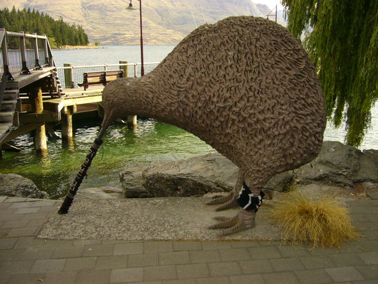 Ein etwas uebergrosser Kiwi am Ufer des Sees