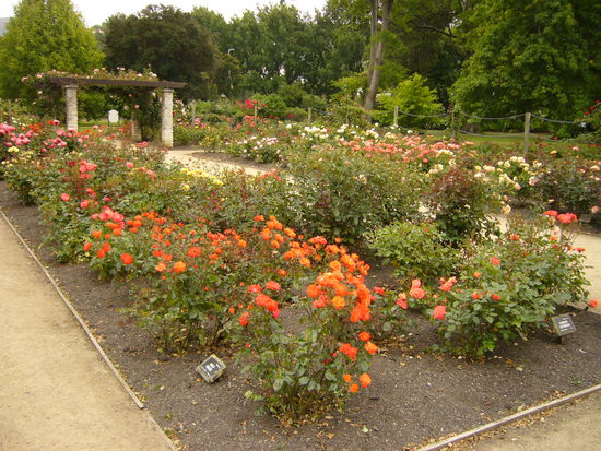 Einen kleinen Abstecher in den Botanischen Garten haben wir auch noch gemacht