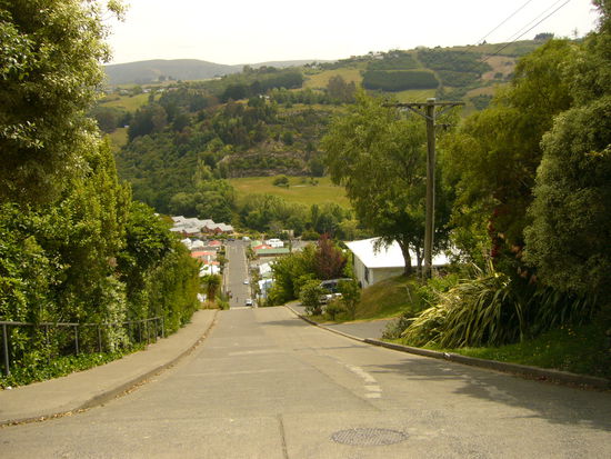 Und die laut Guiness Buch mit einer Steigung von 38 % steilste Straße der Welt, die Baldwin Street, sind wir natürlich auch rauf und wieder runter gefahren. Vom Gefühl her war's ähnlich wie im Silver Star in Rust (Manu hat vom Gesichtausdruck her auch fast genauso geschaut  ), und unsere kleine japanische Reiserakete mit gefühlten 35 PS musste alles geben, dass wir raufgekommen sind.