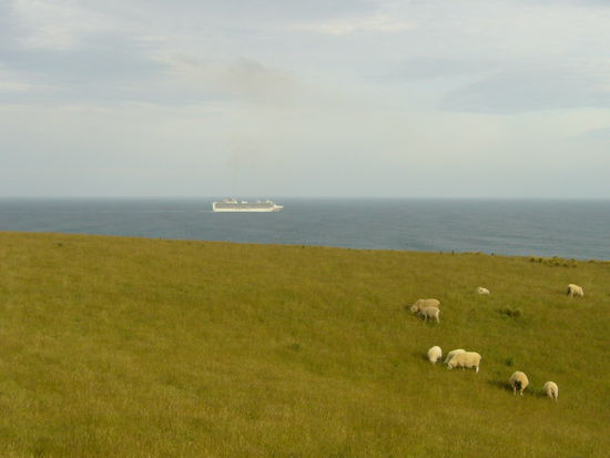 Im Hintergrund sieht man ein Kreuzfahrtschiff vor der Küste, das tagsüber in Dunedin angelegt hatte.