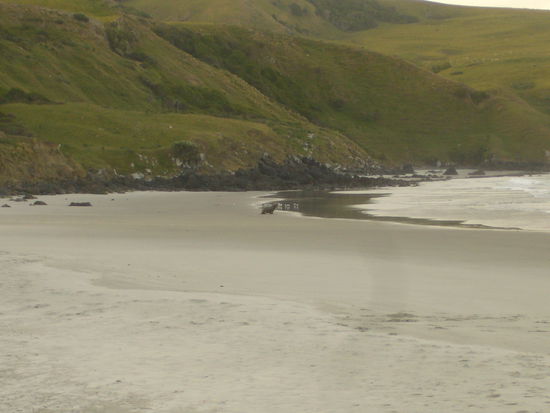 Am Strand war ein Seelöwe, der auf die Pinguine gewartet hat, weil er die nämlich zum Fressen gern hat.