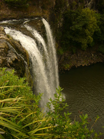 Hier haben wir einen kleinen Stopp bei den Whangarei Falls eingelegt (24 Meter hoch).
