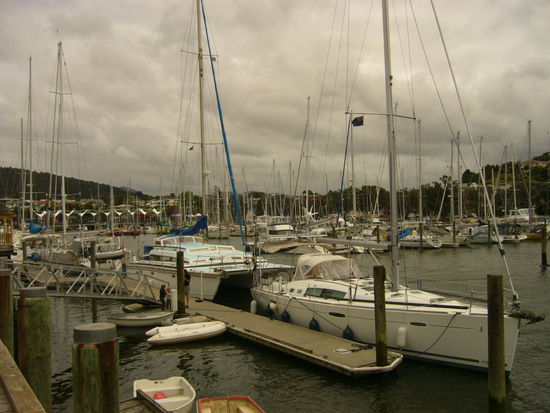 Der Hafen von Whangarei, nicht ganz so gross wie Auckland, aber auch beeindruckend.