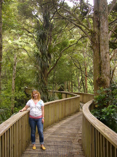 Von da aus ging's zum Treetop Board Walk