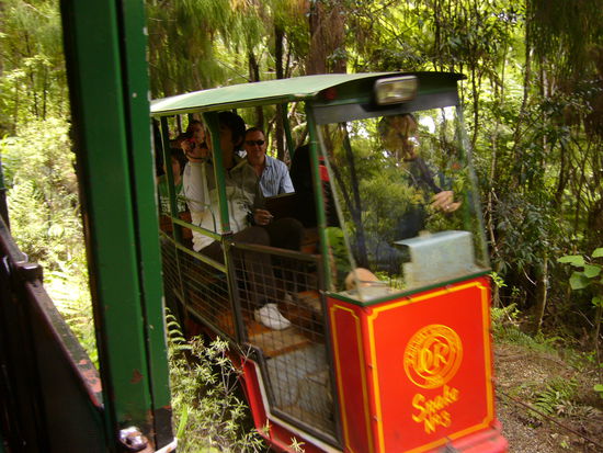 In Coromandel Town haben wir eine Runde mit der Driving Creek Railway gedreht. In einem privaten Park des Kuenstlers Barry Brickell, in dem auch seine Kunstwerke ausgestellt sind, sind wir einmal den Hang rauf und wieder runter gefahren. Gebaut wurde die Schmalspureisenbahn seit den 70er Jahren zum Transport von Rohstoffen fuer seine Toepferei aus den Bergen. Heute werden mehr 
Menschen als Fracht transportiert.