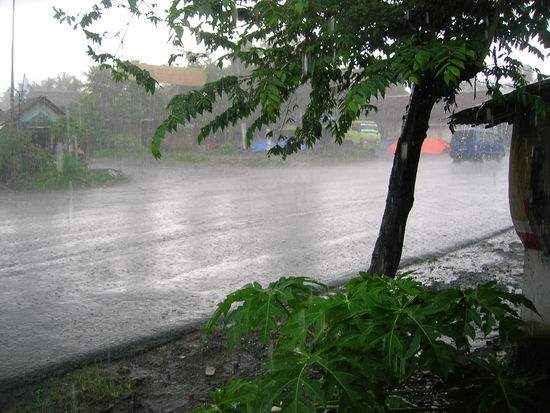 So sieht ein richtiger Schauer in der Regenzeit aus - es geht 10-20 Minuten RICHTIG ab..........und dann ist wieder gut - es ist total erfrischend und erst die Farben der Natur danach