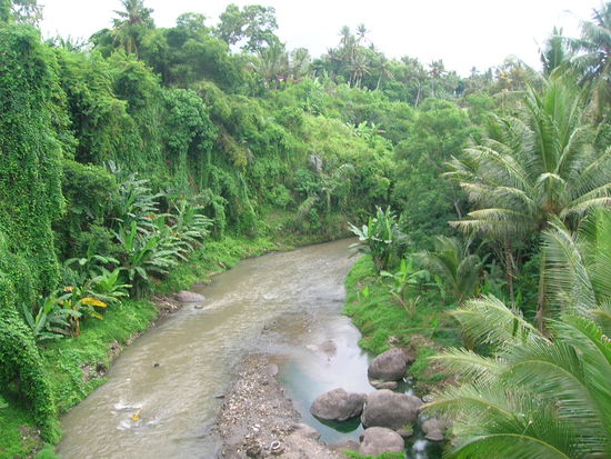 durch die Natur Richtung Tanah Lot