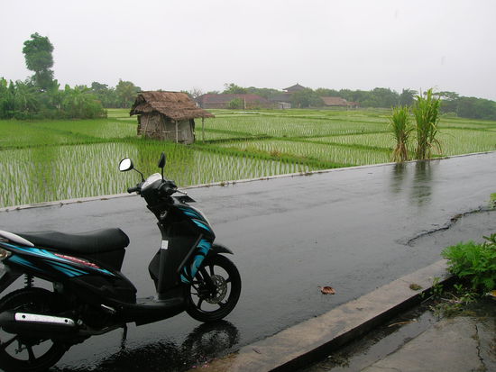 ...........und Regen.............