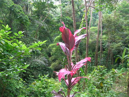 Was fuer eine Natur.........