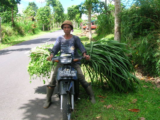 .........und hier der Beginn meines persoenlichen TRAUMTAGES.........irgendwo unterwegs......