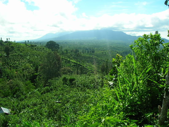 ...............................