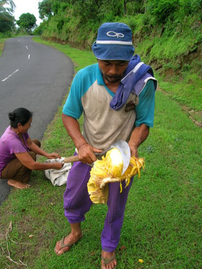 er lies mich nicht weiterziehen ohne mich noch mit einer halben Durian zu versorgen die er geschickt und wieselflink mit seiner messerscharfen Sichel oeffnete........pure Gluecksmomente..............