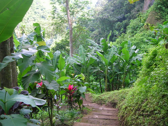 und den Pfad runter zur Ablegestelle