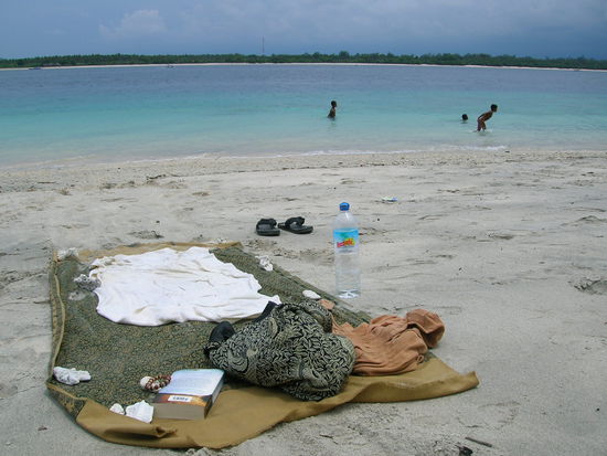 .........meine verdiente Badezeit hat begonnen...........trotz teaglichem Regenguss - heiss - sonne und 27 Grad Wassertemperatur - zum Schnorcheln ein absoluter Traum - Wasserschildkroeten (Mariechen - ich hab wie versprochen beim ersten Anblick an dich gedacht  )............Riffhaie, Nemos, das ganze Programm - einfach toll.............