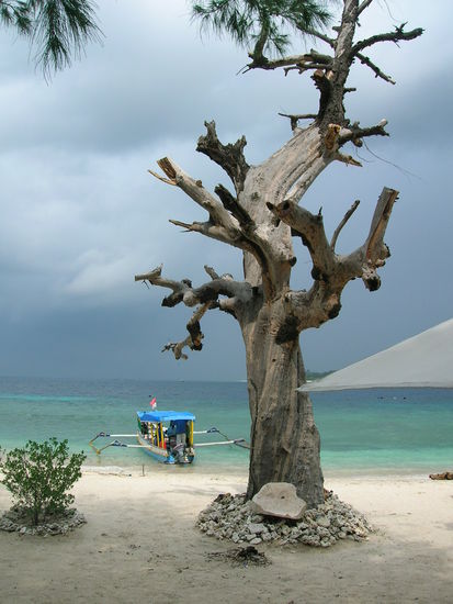 absolutes Naturerlebnis - ein Traum.........