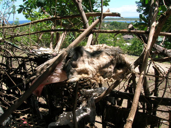 .......des langsam vergaehrenden Fleisch und Fell der zum trocknen aufgehaengten Tierfelle.........