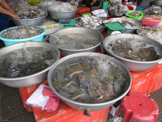 trotzdem wird in Phnom Penh eigentlich an jeder Ecke Markt gehalten und wir stoeberten uns duch die Straszenmaerkte. Hier wurde Madames feinstes Naeschen auf eine unueberwindbare Probe gestellt - Leeeeeeeeeute des hat gstunken dort! 