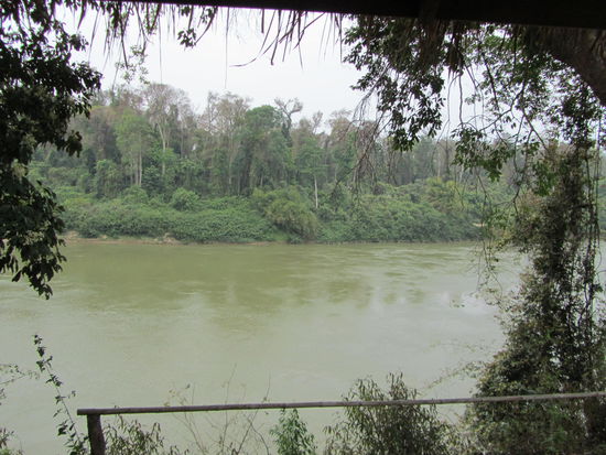 Der doch seeeehr breite Fluss und der am Abend quasi SCHREIENDE Dschungel - wow