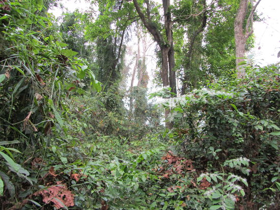 Buesch, Buesch, Buesch... eh... on y va!