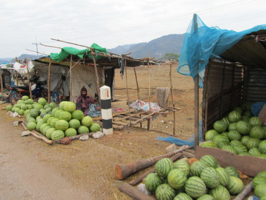 unterwegs mit dem TUK TUK - man beachte die leicht bekleidete Melonenverkauferin im Hintergrund! es war WIRKLICH kalt!