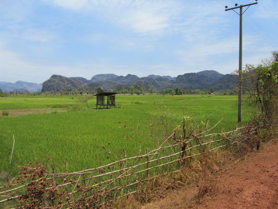 Reisfelder und Luxusvillen