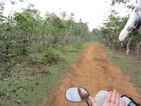 Bis auf die Hauptstraszen ist auch in den Staedten nichts asphaltiert...... Das mit den Bandscheiben hatten wir ja schon erwaehnt