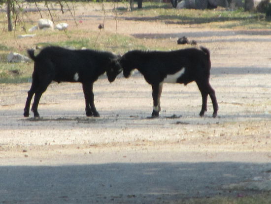 geschaeftiges Treiben auf der Hauptstrasze