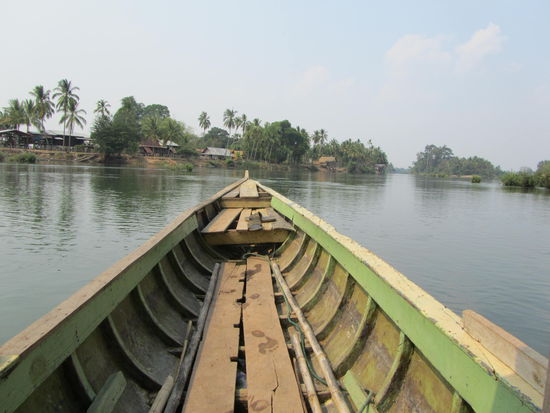 Aufbruch zu den Delfinen
