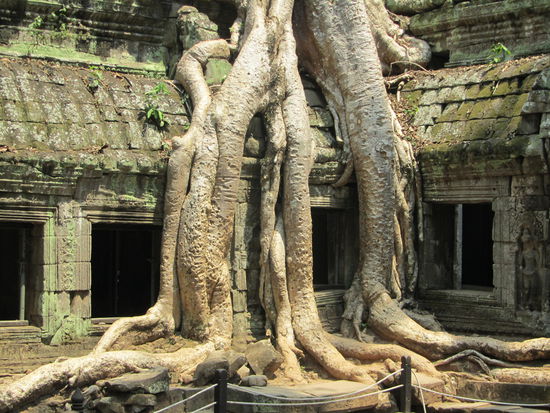 Welcome to TOMB RAIDER