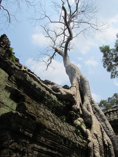 Die AU schlaegt zurueck 