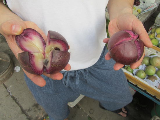 und hier ist schon eine neue Gattung - verdammt wir wissen nicht mehr wie se heisst - aber wir werden es in Erfahrung bringen denn......