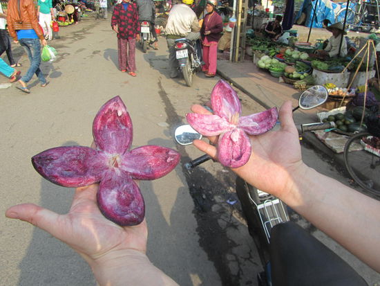 sie war gar koestlichst....