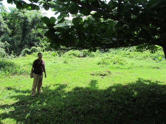 und hier der Jungelkoenig in seinem Element......