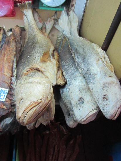 .......aber auch Trockenfischliebhaber kommen auf ihre Kosten......