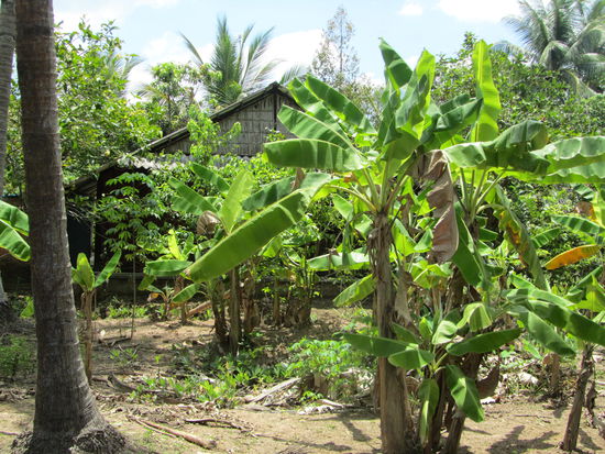 Durch die Siedlungen im Mekongdelta - kurz: BUESCH!
