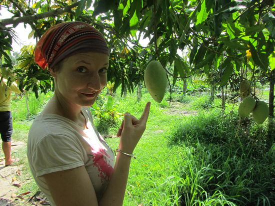 Die Mangos haengen heute tief..............