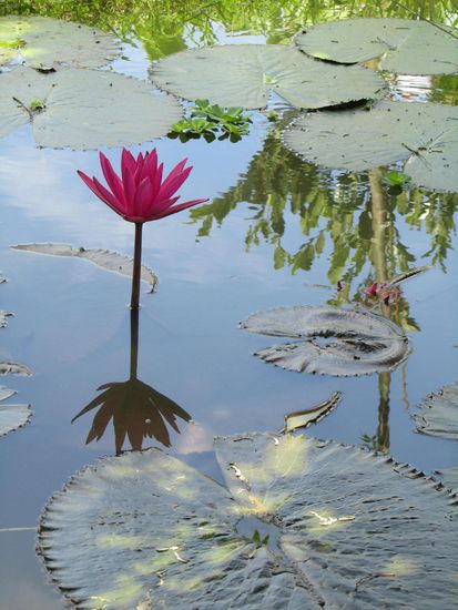 .............schoen isses hier schon und nochmals - wirklich ruhig und nicht ueberlaufen