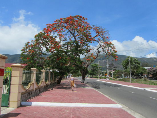 Madame kaempft sich um 10.00 Uhr morgens durch die Menschenmassen am Hauptboulevard