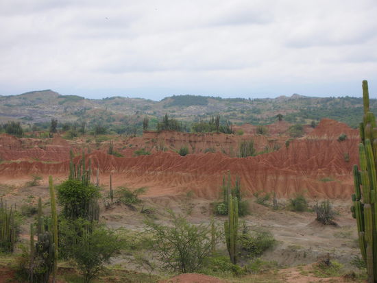 Die canyonaehnliche Landschaft