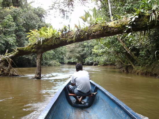 Auf dem Rio Cuyabeno in das Dschungelcamp