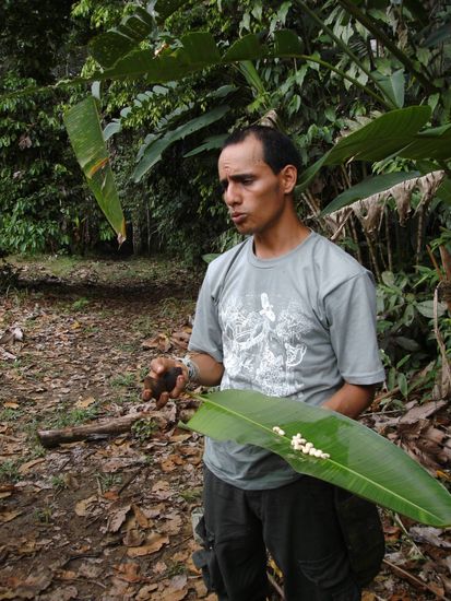 Unser Guide seviert die feinen Maden