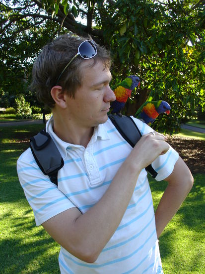 3 Voegel im Botanischen Garten
