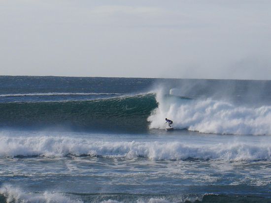 Hier sind echte Profis mit staehlernen Nerven am Werk. Andy hat ganz schoen neidisch geguckt.
Und Daisy hatte bei den knackigen Surferboys auch was zum Schauen 