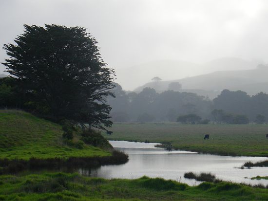 ... Die Landschaft oberhalb des Strands ist ebenso schoen! Total gruen und mysterioes vernebelt durch die hohe Luftfeuchtigkeit...
Hier in Apollo Bay.
