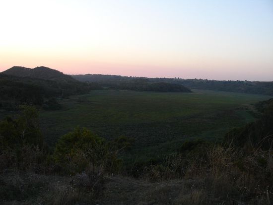Das Tower Hill Reserve am Abend
- eine uralte Kraterlandschaft entstanden vor ca. 30.000 Jahren durch Vulkan-Erosion -